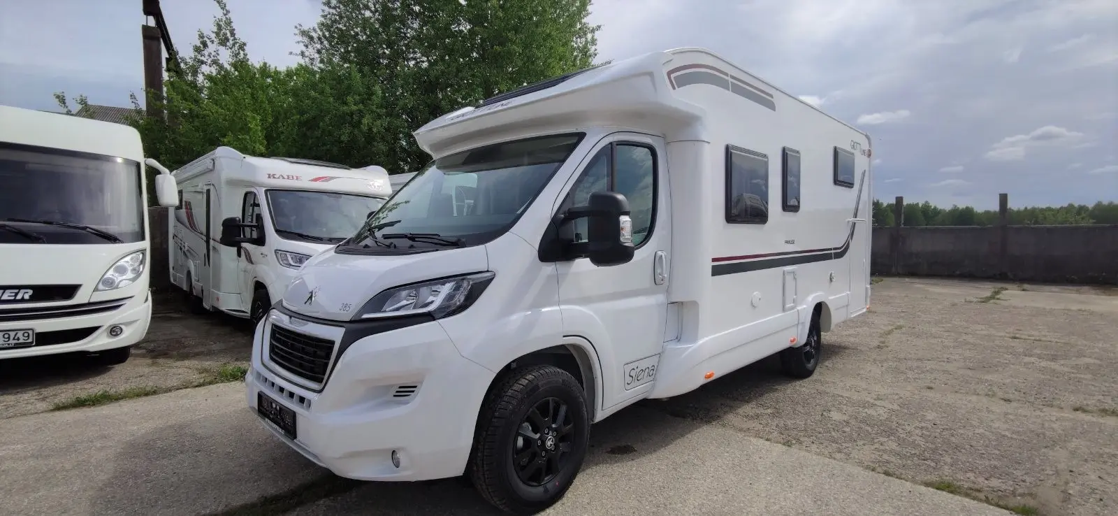 Giottiline siena 385 Privilege